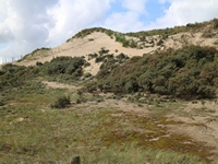 Waterleidingduinen album