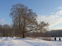 Winterplaatjes album